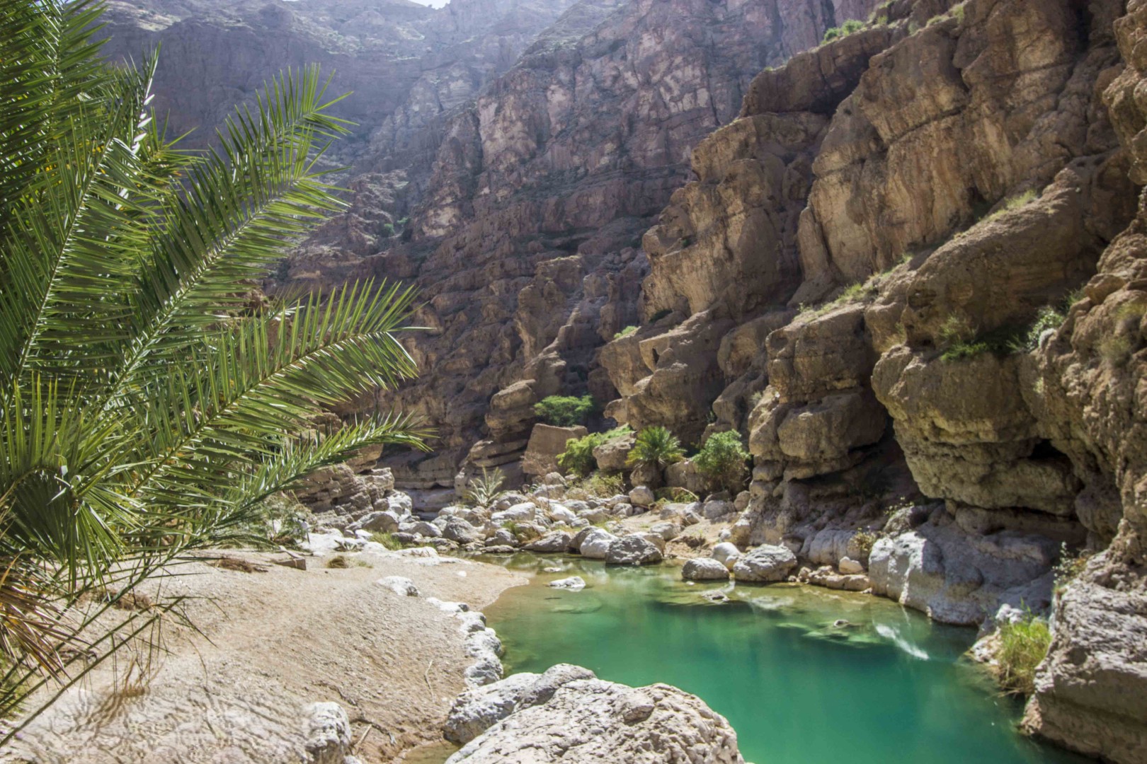 7D / 6N Oman Tour Package