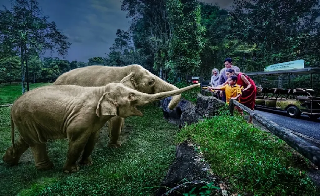 5D / 4N Singapore Tour Package