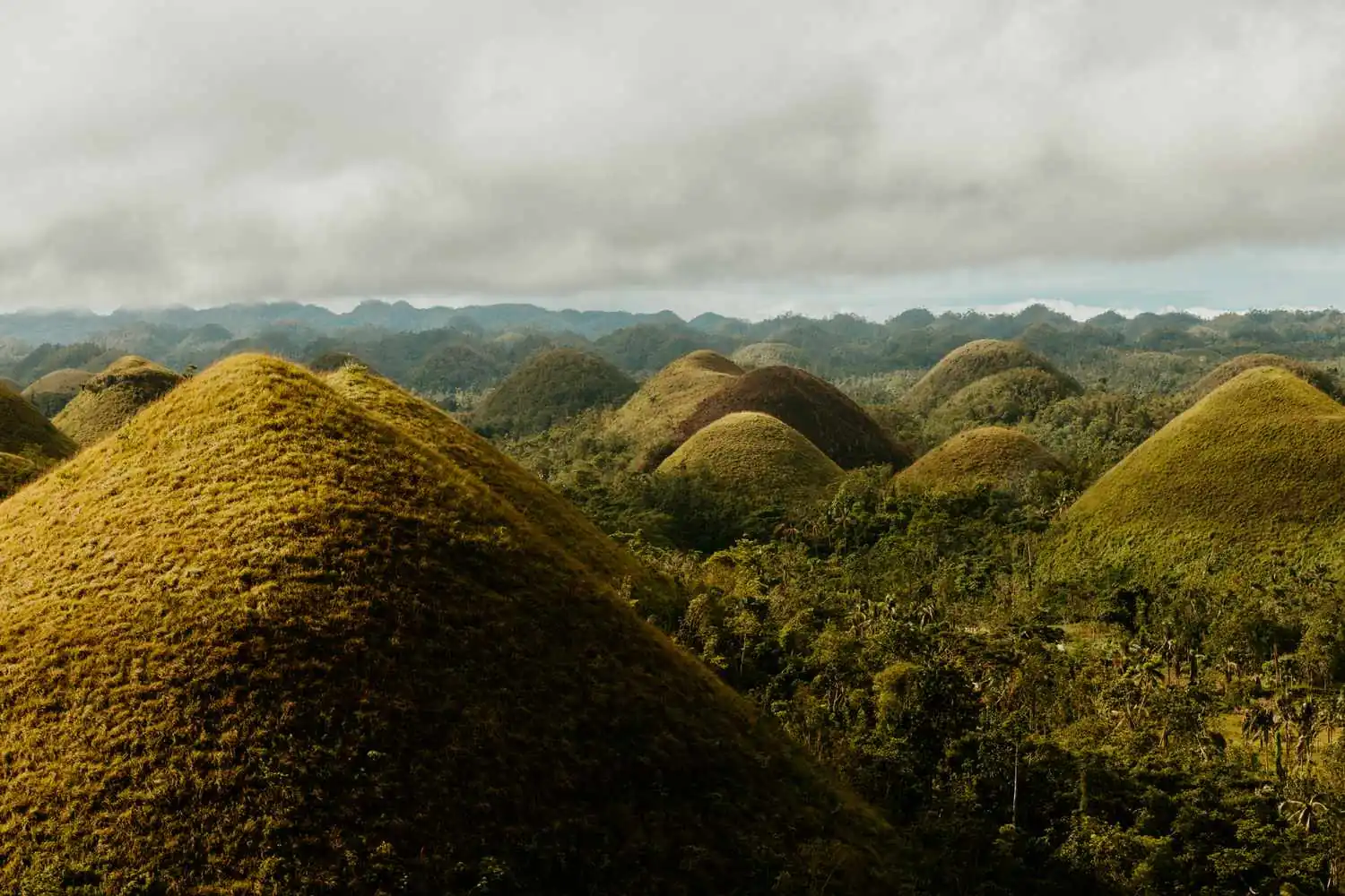 4D / 3N Bohol Tour Package