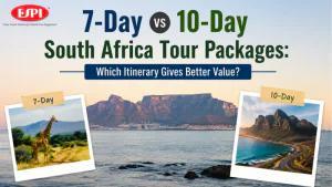 7-Day vs 10-Day South Africa Tour Packages: Which Itinerary Gives Better Value?